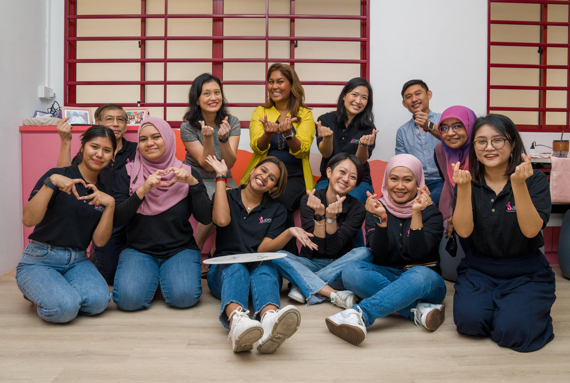 BABES Pregnancy Support